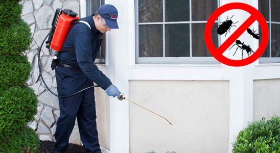 Gönen Dezenfeksiyon böcek ilaçlama ve haşere kontrolü — ilaclama-tr.com